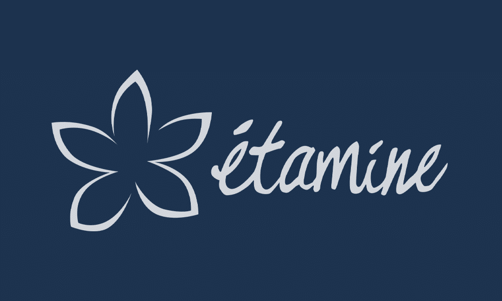Vizcab : logo Etamine